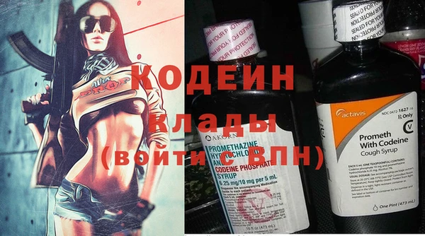 мдпв Горно-Алтайск