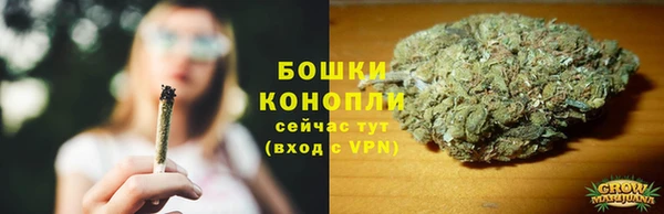 мдпв Горно-Алтайск