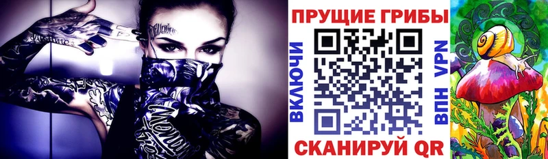 Псилоцибиновые грибы Magic Shrooms  Купить  Кола 
